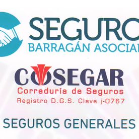 Barragán y asociados imagen seguros